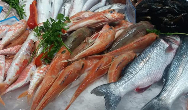 Pesca Toscana rischio imprese