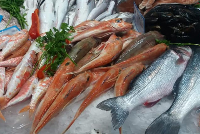 Pesca Toscana rischio imprese