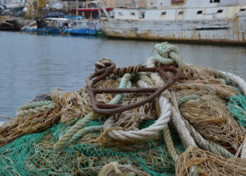 settore pesca UNCI Agroalimentare