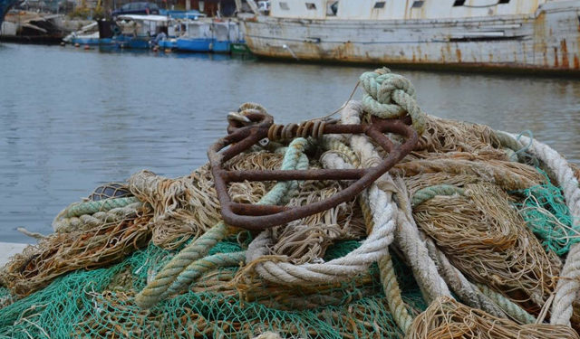 settore pesca UNCI Agroalimentare