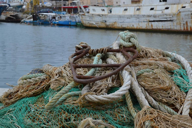 settore pesca UNCI Agroalimentare