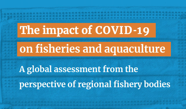 L'impatto di COVID-19 sulla pesca e l'acquacoltura