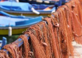 Comitato Pescatori Calabria - pesca artigianale