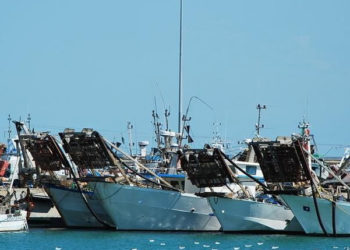 Riunione in videoconferenza tra gli Assessori all’agricoltura e Pesca delle Regioni Veneto, Emilia Romagna e Friuli Venezia Giulia