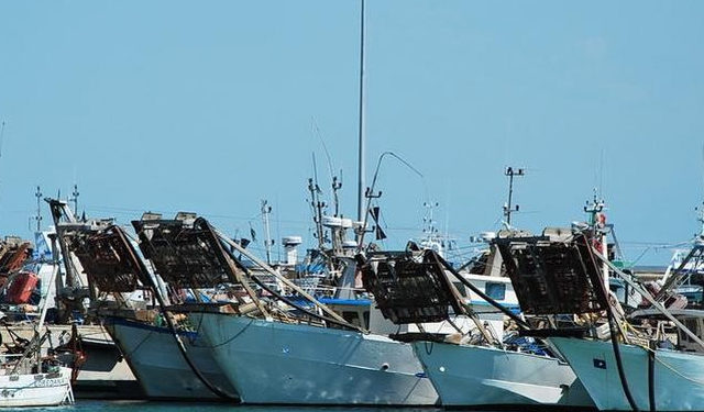 Riunione in videoconferenza tra gli Assessori all’agricoltura e Pesca delle Regioni Veneto, Emilia Romagna e Friuli Venezia Giulia