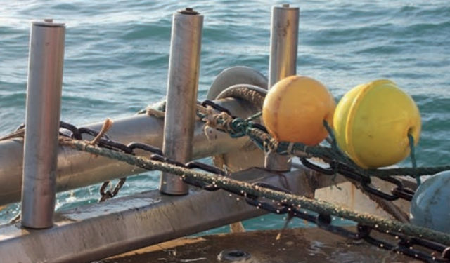 Procedure e campionamento per sondaggi demersali e pelagici