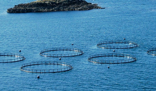 Dalla Commissione europea il via libera a strategia Farm to Fork