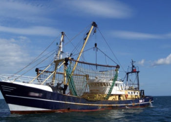 Farm to Fork. Europêche: "La strategia dell'UE sulla biodiversità ignora i risultati della gestione della pesca"