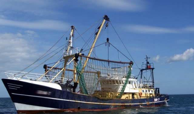 Farm to Fork. Europêche: "La strategia dell'UE sulla biodiversità ignora i risultati della gestione della pesca"