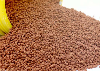 Entro il 2030 la produzione di pesce d'allevamento potrebbe raddoppiare