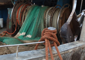 Boom di richieste per la cambiale agraria e della pesca