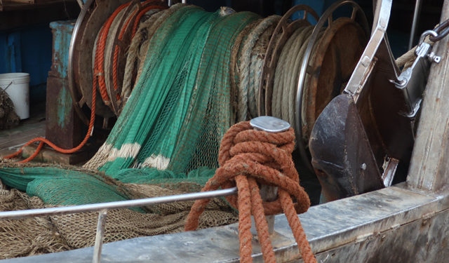 Boom di richieste per la cambiale agraria e della pesca