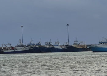 Federpesca: "No ad accordi con la Grecia senza espresso richiamo ai diritti storici della pesca italiana"