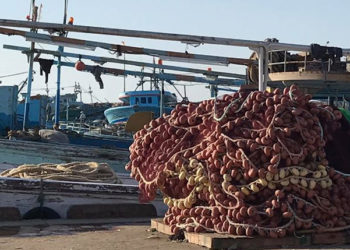 bonus pescatori autonomi