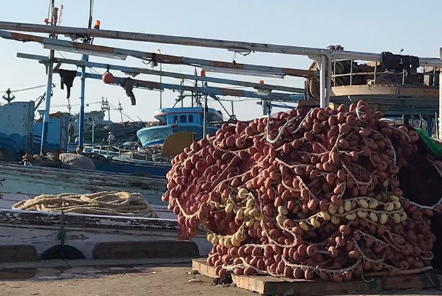 bonus pescatori autonomi