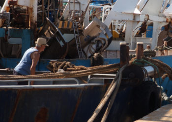 indennizzo palangari Federpesca