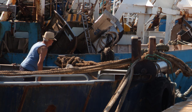 indennizzo palangari Federpesca