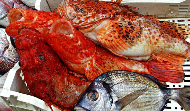 industria ittica post-covid19