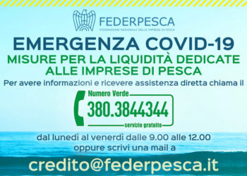 da oggi attivo numero verde per assistere le imprese ad accedere alle misure garantite da ISMEA