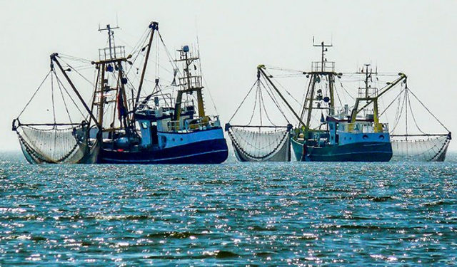 Our Fish. Per diventare un leader globale dell'oceano, la Germania deve porre fine alla pesca eccessiva