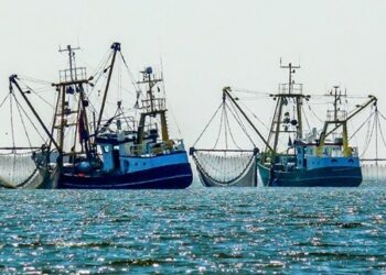 Our Fish. Per diventare un leader globale dell'oceano, la Germania deve porre fine alla pesca eccessiva