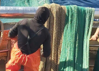 Fase 2. Per il settore della pesca c'è ancora molto da fare