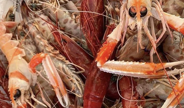 Primo weekend con pasto fuori casa e spiagge