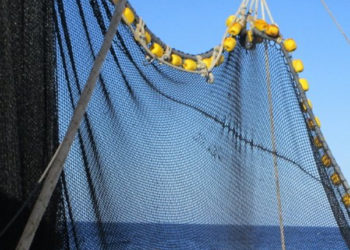 l'OPAGAC ritiene che sia giunto il momento per l'Europa di aprire un dibattito e riflettere in profondità sui criteri che l'UE ha attualmente stabilito per le importazioni di prodotti ittici dalle flotte cinesi