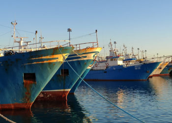 telecamere a bordo, sistema AIS alle Unità fino a 12 metri , obbligo del log-book