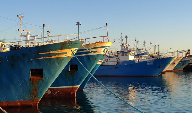 telecamere a bordo, sistema AIS alle Unità fino a 12 metri , obbligo del log-book