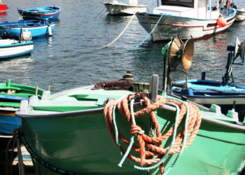 Mertilotti: "I pescatori sono stati solo un oggetto elettorale"