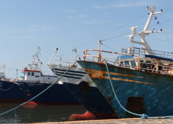 Alleanza Cooperative, no alle telecamere a bordo dei pescherecci per controllare rispetto regole