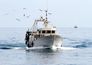 Si tratta di una flotta di una settantina di imbarcazioni dedite alle pesca di specie pregiate