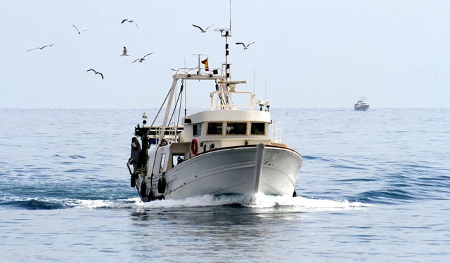 Si tratta di una flotta di una settantina di imbarcazioni dedite alle pesca di specie pregiate