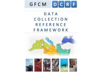 Data Collection Reference Framework della GFCM