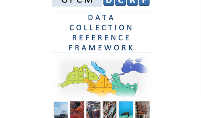 Data Collection Reference Framework della GFCM