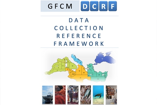 Data Collection Reference Framework della GFCM