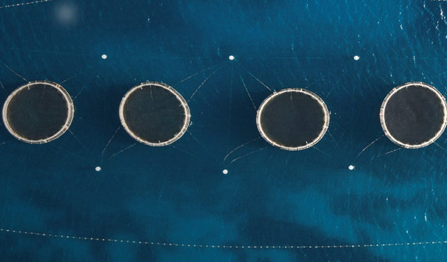 FAO - Lo Stato della Pesca e dell'Acquacoltura Mondiale