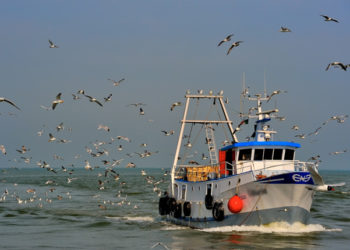 Federpesca: "Continueremo con attenzione a seguire i successivi passaggi operativi"