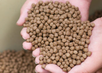 Il report "Fish as feed" presenta un nuovo metodo basato sul principio di allocazione economica