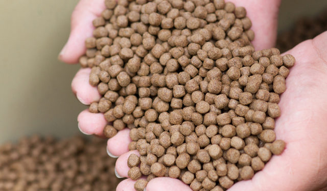 Il report "Fish as feed" presenta un nuovo metodo basato sul principio di allocazione economica