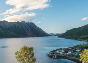 allevamento di alghe