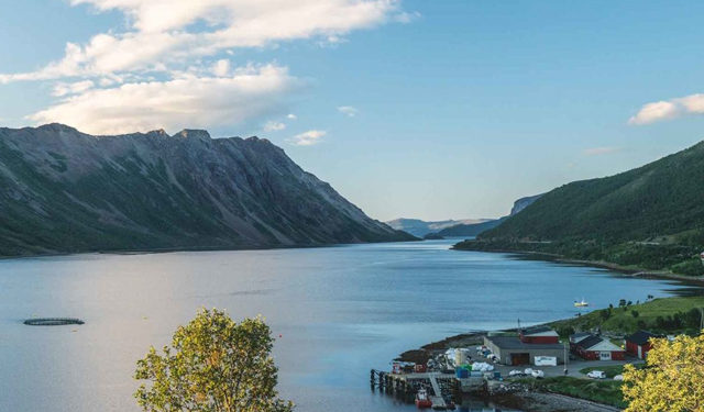 allevamento di alghe