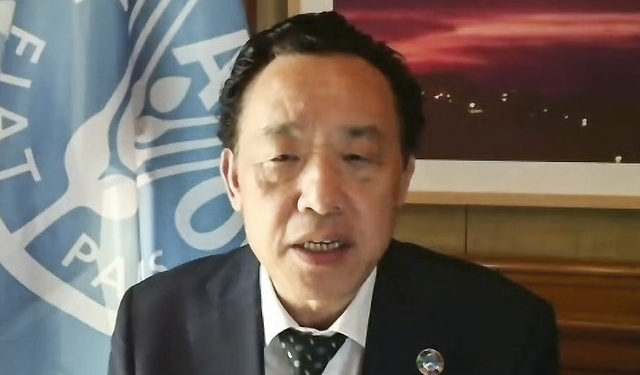 Yemen: appello del Direttore Generale della FAO ai donatori per ampliare gli interventi a favore di agricoltori e pescatori