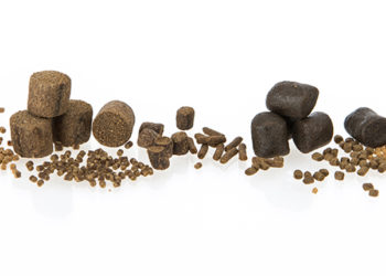 mangimistica per pesci