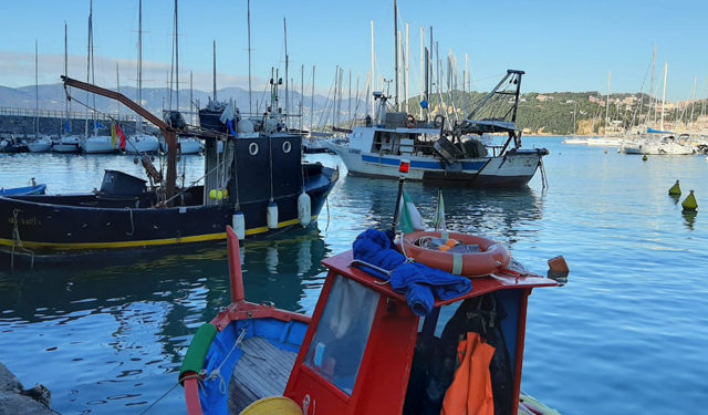 marchio pesca responsabile