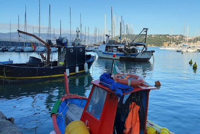 marchio pesca responsabile