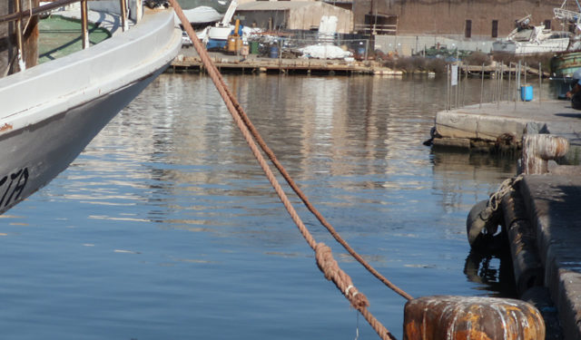 giornate della pesca