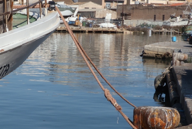 giornate della pesca