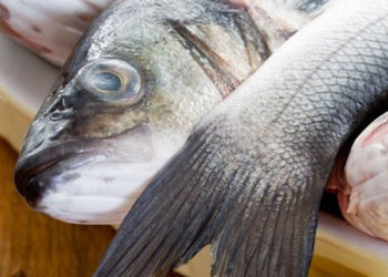 La spigola catturata con ganci e lenza può raggiungere il prezzo fino a 35 euro al kg